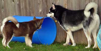 Sebastian July, 2005 - inspecting the new barrel